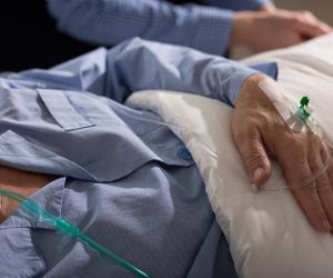 ����� ������� ����� �������� ���������: ������������� ��������� �������� �� 2026 ���