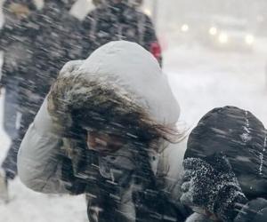 ����������� �������������: ������� ������ ������� �������� ��������� � ������ ���������