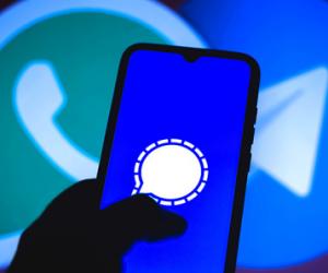 ����� �� ��������� ���������� ������������: ������ ������� �� ������� Telegram � WhatsApp*