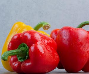 ������ ���������� �� ����� �������: ����� ���� ����������� ����� ����� ��������