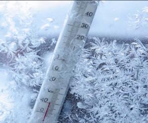 ���������� ����� �� �������: ��� � ������ ������ ������ ���� 35 ��������