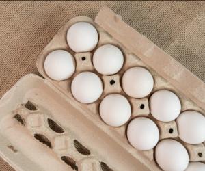 ���� ��������� �0: ������ ����������� �������� ������� ������ ������ ��������