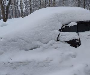 ������� �� ����� ����������, � ����� ������� ������ ��������� �������� ���� ��� �����������