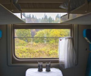 ������ ���� ��� �������: ���������� �� ��������� ����� � ������� ���