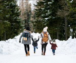 ���� ������ �� ����: �������� �������� ��� ����� ���������� ������� ��� �������