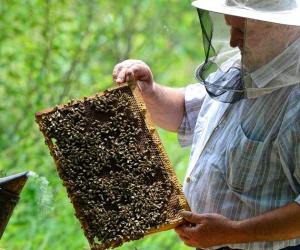 ������� �� ������ ���������: ��� ������������� ������ ������ 17 ������, ����� �� ������� ����