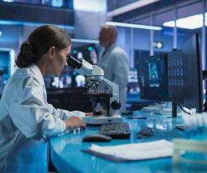 ������ ��� �� ������: ������ ������������ � ����� ����� �������� ��� � 2026 ����