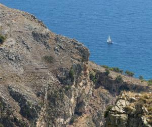 ������ ���� �������, � �� ������ 40 ���: ����������� ������� ��������� �� ������� ������������