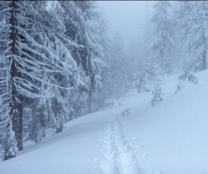 ��������� ������ ������� ����� ����������: ��������� ��������� ������� ���� ����������