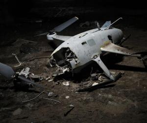 ��� ����������� �������� ���������� 29 ������