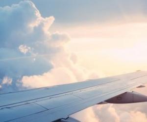 ������ �������� ��� ����������: ��� ��������� � ���������� ������������� � 1 �����