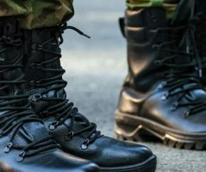 ����� ����� �����������? ������ �� ����������� ������������� � 2026 ����