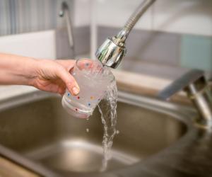 �� � ��������: ���� ������ ������ ���� �� ��������� ���������