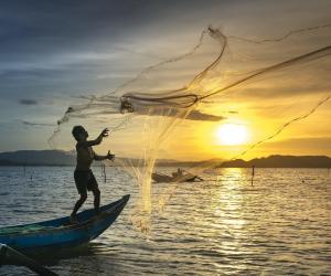 ������ � ������ ��������: ��� �������� ��������� ���������