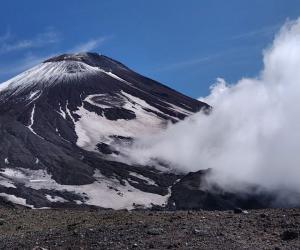 ����� � ���������� ������������ ���������� ���������� �� ������ ������� �����