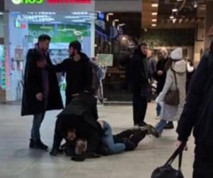 �����, ��������, ����������. ��������-������� ������ ������� � ���������