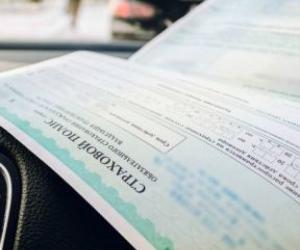 Система «Паутина» будет штрафовать за езду без ОСАГО: что ждет водителей с 1 сентября