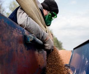 ����� �� ������ ���� ���������: �� ���� �������� ����� ��� � ����� ������ ���������� �������� ���������