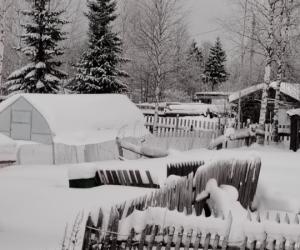 ������� ��� ���������: ��������� ����� ���� ������� ���� ���������