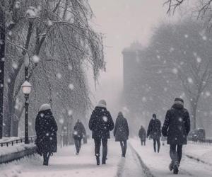 ������� �����������: ����� ������� ������ ���� ������ � ��� ��������