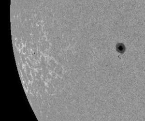 ������ ����� �����: ���� ������� ���������� �������� �� ������