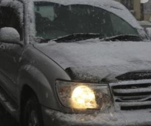 �������� ���� �� ���������: ��� �������� ����������� ������ ���������� �� ������� �������