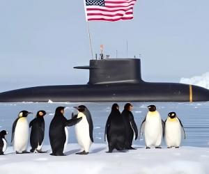 ������� � ����� ����: ��� ��������� ���������� ��������� �������������� ��������� ��� � ����������