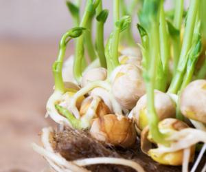 ������ ������� ��������: ������� ������ ��� ����������� ��������� � ������ ��� ��������