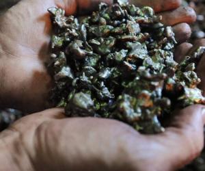 ����� ��� ��������: ����� �������������� ������� ����� �������� ���������������� ������������