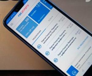 Осторожно, новые «приставы»: как под видом штрафов ГИБДД воруют доступ к «Госуслугам» и ваши деньги