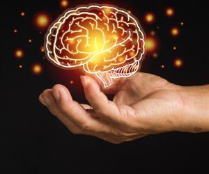 Не рыбой единой: диетолог раскрыла секреты питания для ясного ума и острой памяти