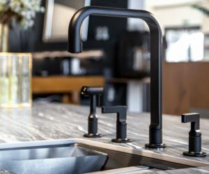 ������ ����� ����������: ����� ���� �� ����� ����� ������ ������ �������