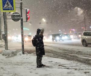 ������ �� ������� � �������: �������� �������� ������ �������� � ������ �������