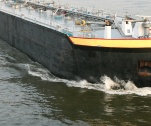 �������� ���������? ������ ������ �� �������� ����� ������� �� �������� � ������ ���