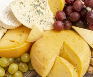 ����������� ����������� ���� ����� ������� ������������: ������� ������ �� �������������