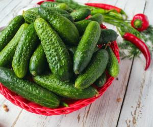 Легендарный сорт «Нежинский»: почему огурцы с историей в 300 лет остаются лучшими для засолки