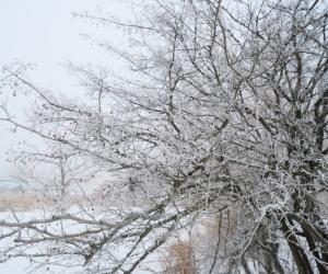 �������� ���� 3 �������: ��� ����� � ������ ������, �������