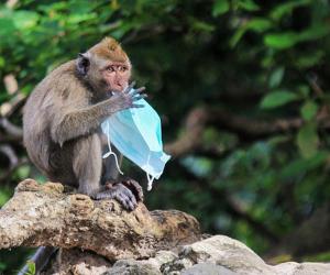 ��� ��������� ����� �������� � ��������� ��� ������