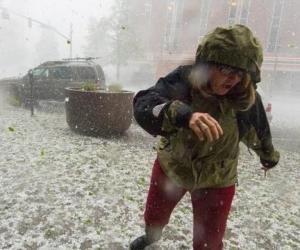 ����������� ���� �������: ���� � ������ 2026 ���� �������� ������������� ������