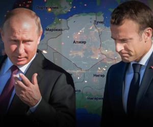 ��� ������ ����������� ������ �� ������� ��������