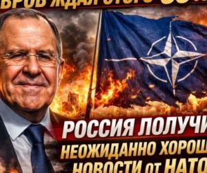 ����������� ������������: ������ ��������� ������� ������������� ��������