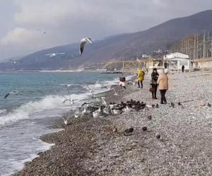 ���������, ����������� � ����, �������� �������� ������� ��������� �����