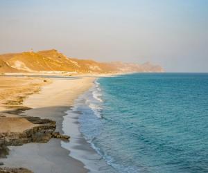 ���� ������ ���: ������� �������� ����� ������