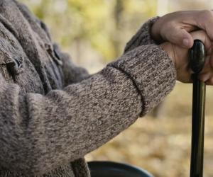 ���������� � ������� ����: � ����� ������ ���� ������� ���� ���������