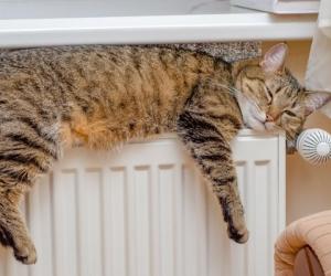 �������� ��� � �������� ������: ��������� ������ ����� �� ��������� �� 20 ����� ������