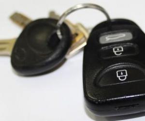 ��������� ������ �� �������: ������ �� ���� ���������� �� 40% ��� � ������