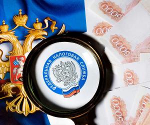 Платить придется всем: Госдума запускает механизм налогообложения зарубежных онлайн-покупок