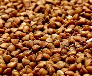 ������� ������ �� ���������: ������� ������� ������������ �� �������� ���� ���� �������