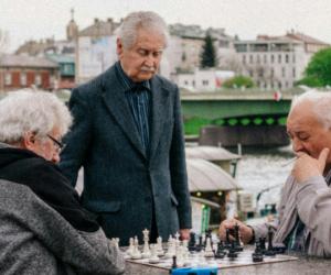 �������, ���������: ������� ��������� �� ������ ��-�� ������ � 23 ������ � ���������� Telegram � ���� ���