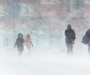 ���������� ���������: ����������� ���� �� ������ 22 ������� ��������� ��������